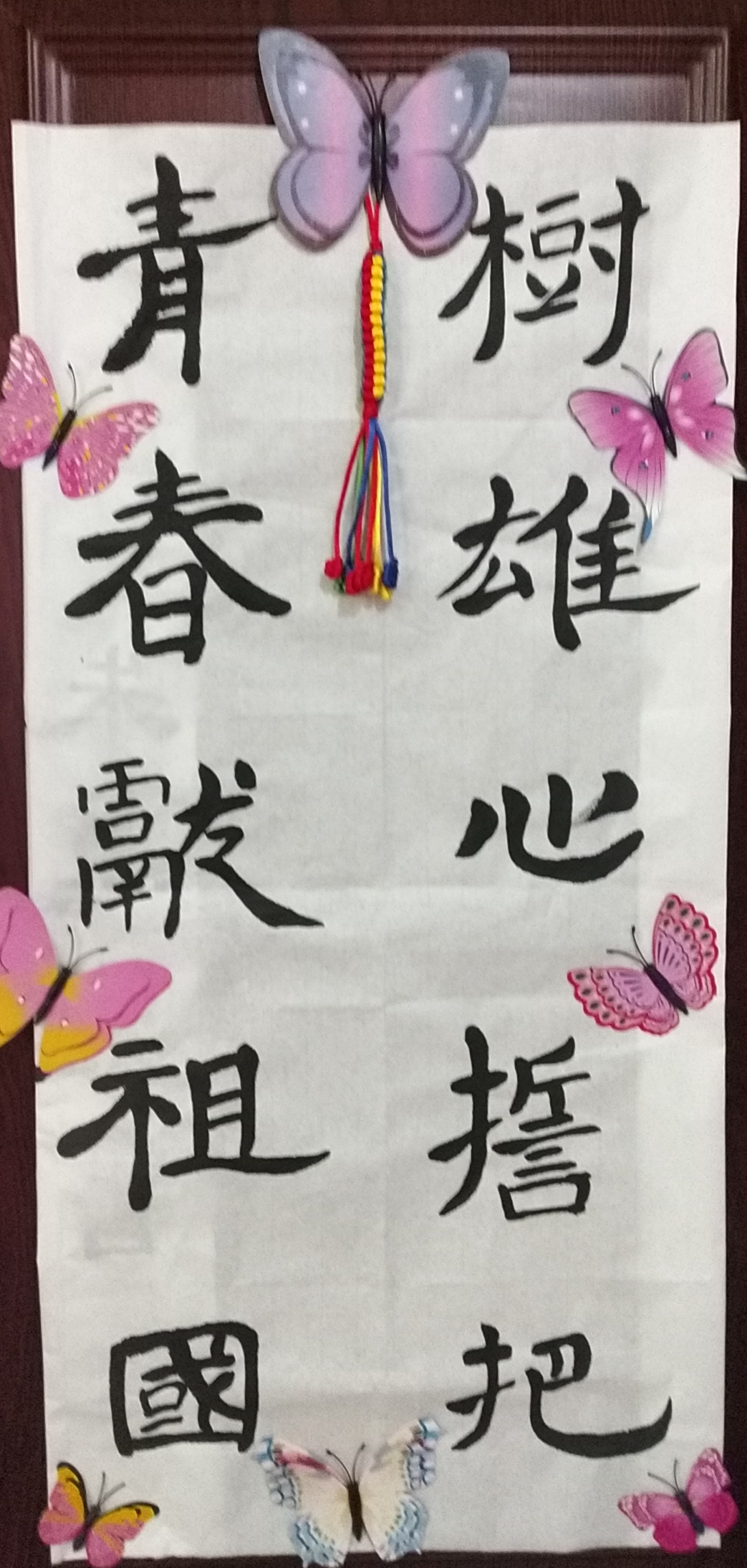 中学作品类别:  书法作品说明:  书法:树雄心誓把青春献祖国  朱慧雅